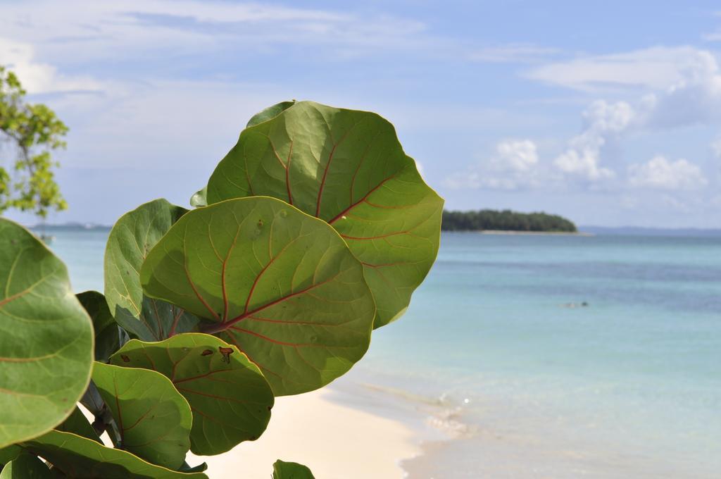 La Magia Bungalows Puerto Viejo de Talamanca المظهر الخارجي الصورة